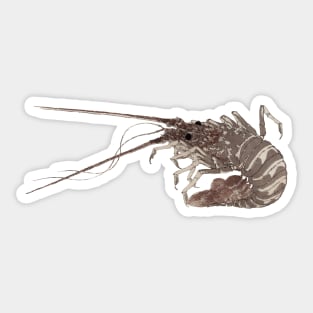 The Lobster, History art, Asian Art Sticker